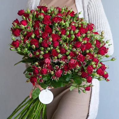 25 бело-красные кустовые розы 50 см- купить в СПб с доставкой в интернет  магазине \"Цветочкин\"