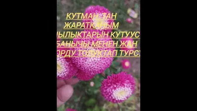 кутман тан картинки｜TikTok Search