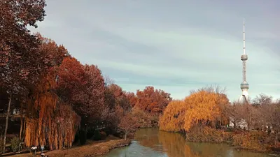 Кованый узор с листьями и завитками КУЗ-124: купить в Москве, фото, цены