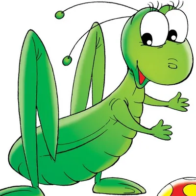 Зеленый кузнечик (насекомое) - описание, виды и чем питаются
