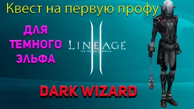 Квест на Первую Профу за Темного Эльфа Interlude x1 - Path of the Dark  Wizard Lineage 2 / Lineage II - YouTube