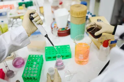 380 молодежных лабораторий открылись в вузах и научных организациях с 2018  года