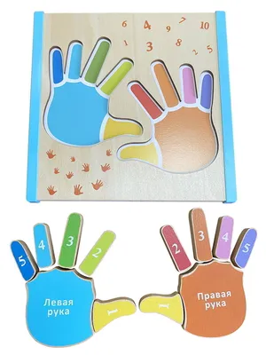 Развивающий набор «Цветные ладошки» купить в Чите Развивающие игры в  интернет-магазине Чита.дети (9357851)