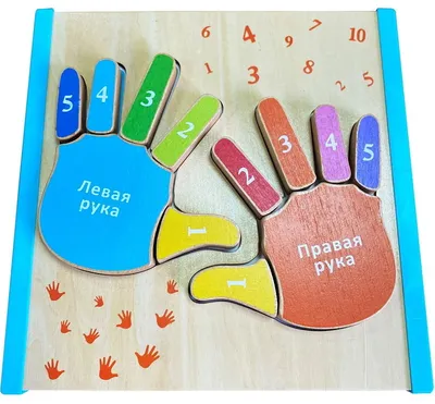 Детские ладошки раскрашенные в разные цвета » ImagesBase - Обои для  рабочего стола