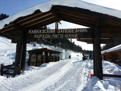 Плато Лаго-Наки (Лагонаки, Лагонакское нагорье), Адыгея | Мысли мизантропа