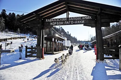 Плато Лаго-Наки и нагорье Лагонаки - Лагонаки.ру