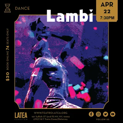 Lambi – Blooms Imports