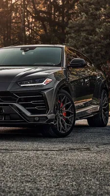 Download Lamborghini Urus wallpaper by AbdxllahM - 81 - Free on ZEDGE™ now.  Browse millions of popular lamborghi… | Luxury car photos, Lamborghini  cars, Lamborghini
