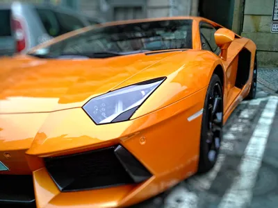 Купить Машинка Lamborghini на радиоуправлении. Rastar 48200 недорого
