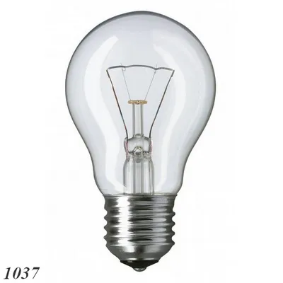 лампочка с круглым светом 15 Вт, 240-В переменного тока, винтажные лампочки  накаливания, лампочка для холодильника, детская сменная лампа | AliExpress