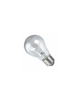 Лампа накаливания LOFT IT E27 60W прозрачная 1008 60Вт E27, продажа  освещения из Европы и США.