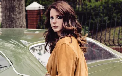 Picture Lana Del Rey Music Girls Celebrities Painting Art