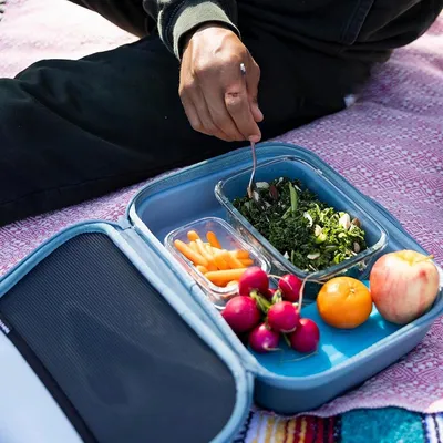 Best Adult Lunch Boxes of 2023 | Shopping : Food Network | Food Network
