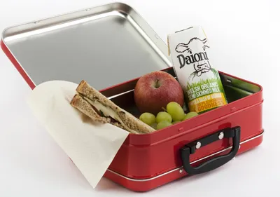 PlanetBox Rover Stainless Steel Lunch Box