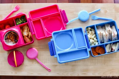 The Best Lunch Boxes for School, Work, or Travel | EasyLunchboxes