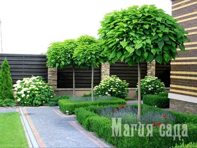 Ландшафтный дизайн сада: обои с цветами, картинки, фото 800x600