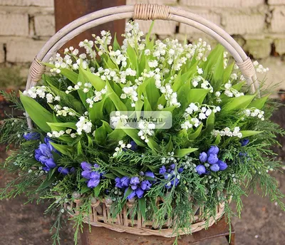 Фотообои Цветы в вазе \"Ландыши на нежном зелёном фоне\" - Арт. 0120023009 |  Купить в интернет-магазине Фото в дом