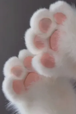 Фурчатки\", перчатки - лапки кошки - уют и стиль от AnnyWay