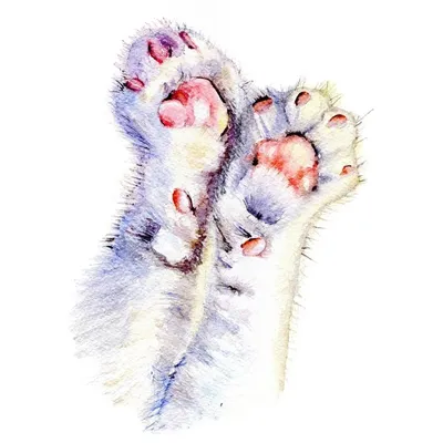 Митенки перчатки лапки кошачьи пушистые BearWear 50194071 купить за 425 ₽ в  интернет-магазине Wildberries
