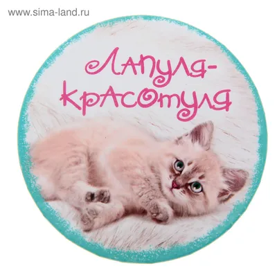 Зеркало \"Лапуля красотуля\" (656703) - Купить по цене от 19.00 руб. |  Интернет магазин SIMA-LAND.RU