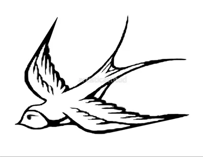 Птица и тюльпан ласточки иллюстрация штока. иллюстрации насчитывающей  ласточка - 111370498
