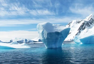 Ведро льда стоковое фото. изображение насчитывающей отпразднуйте - 27393648