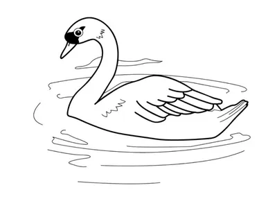 Картинки и Рисунки лебедя для срисовки