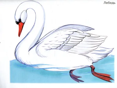 Рисуем лебедя || Как просто нарисовать лебедя! - YouTube | Принцесса-лебедь,  Лебедь, Уроки рисования