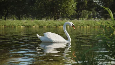 Лебеди на пруду.» — создано в Шедевруме