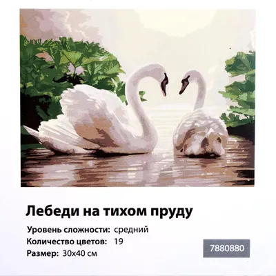 Рисунок лебеди на пруду №98560 - «Природа родного края!» (05.02.2024 -  19:29)