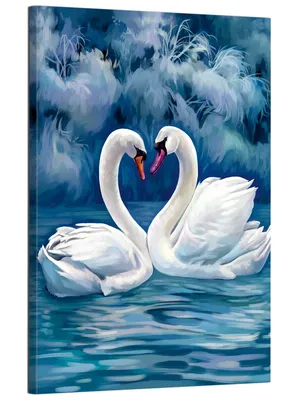 Купить фотообои Лебеди на закате (#7288) | заказать в каталоге интернет  магазина с ценой и фото