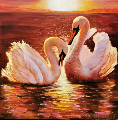 Картина по номерам ТМ \"Идейка\", Пейзаж \"Лебеди на озере\" 40*50 см, без  коробки КНО4359 (ID#1718158410), цена: 250 ₴, купить на Prom.ua