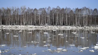 Ледоход на реке Обь находится в 880 километрах от границы с Югрой -  Новостной портал UGRA-NEWS.RU