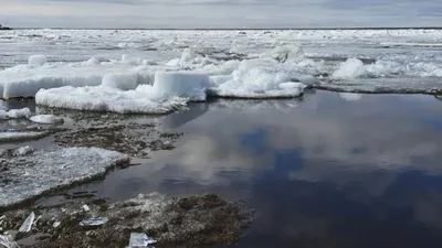 На реке Пинеге разрушился ледовый затор