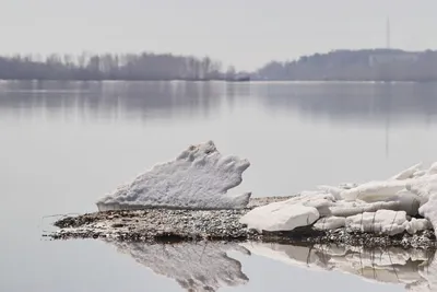 Основной ледоход на реке Печоре развивается в 426 километрах от Нарьян-Мара  » Новости Нарьян-Мара сегодня – Последние события в НАО – Информационное  агентство NAO24.RU