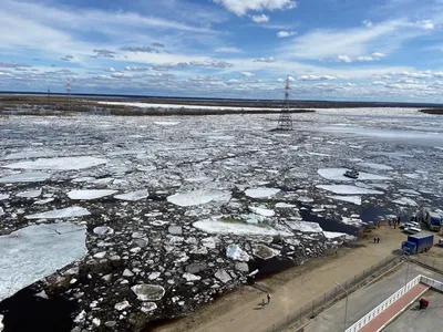 Голова ледохода на Северной Двине подошла к Ракуле — это 149 километров от  Архангельска