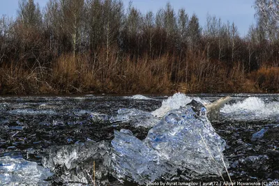 Орловцы запечатлели ледоход на реке | 25.12.2022 | Орел - БезФормата