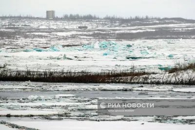 На реке Волге в Костроме начался малый ледоход | K1NEWS Кострома