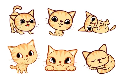 Рисунки для срисовки котики (30 картинок)