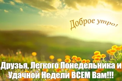 Доброе утро! Лёгкого понедельника! Удачной недели! - YouTube