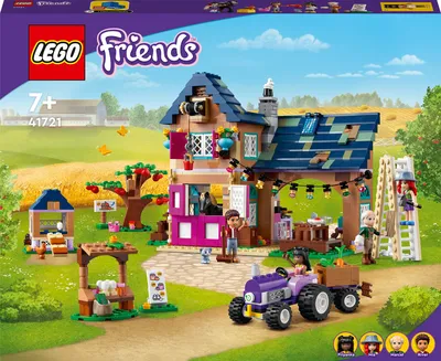 LEGO Friends Beach Amusement Park Building Toy - The Toy Box Hanover