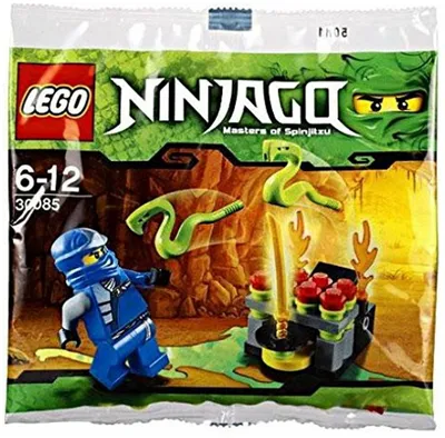 Конструктор LEGO Ninjago 30085 Прыгающие змеи, 42 дет. — купить в  интернет-магазине по низкой цене на Яндекс Маркете