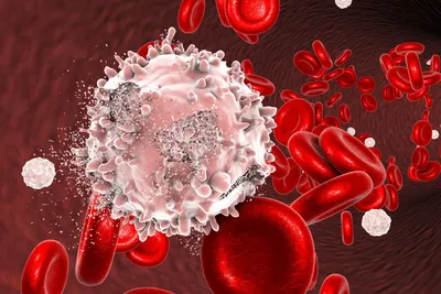 Лейкоциты в крови: норма у мужчин и женщин, что значат, количество у  взрослых