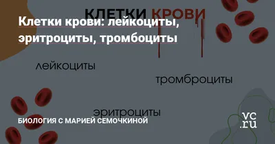 Лейкоциты в спермограмме: причины повышенных лейкоцитов в сперме – клиника  АльтраВита