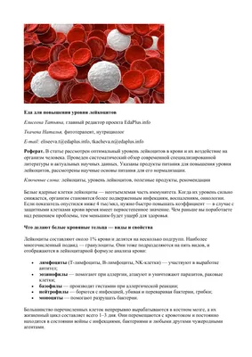 Лейкоциты в анализе крови (WBС): как расшифровать анализ? | Клиника Эксперт