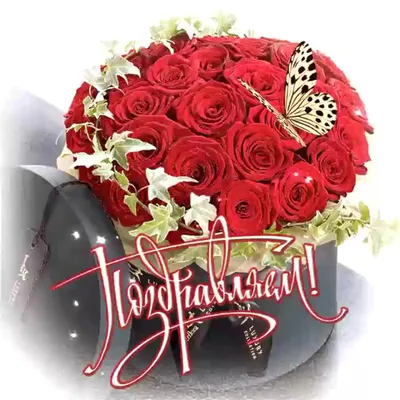 Лейсан! С днём рождения! Красивая открытка для Лейсан! Открытка с шикарным  букетом белых роз. Розы на блестящем фоне.