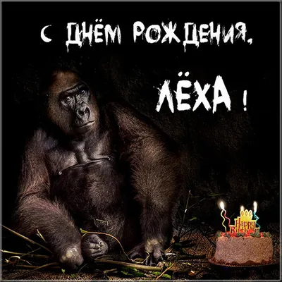 Поздравления с днем рождения Алексею - 68 фото