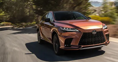 10 Things We Love About the Lexus RX | North Park Lexus Rio Grande Valley