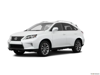 2019 Lexus RX350 Sports Luxury Review | Power, Luxury And Tech
