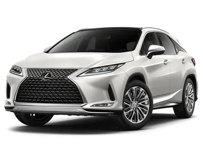 ALL-New LEXUS RX 2023 | All details and details! - YouTube
